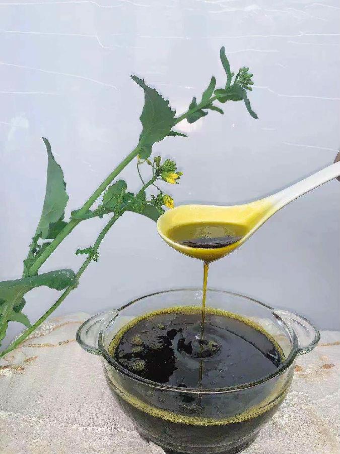 你会选压榨菜籽油吗？